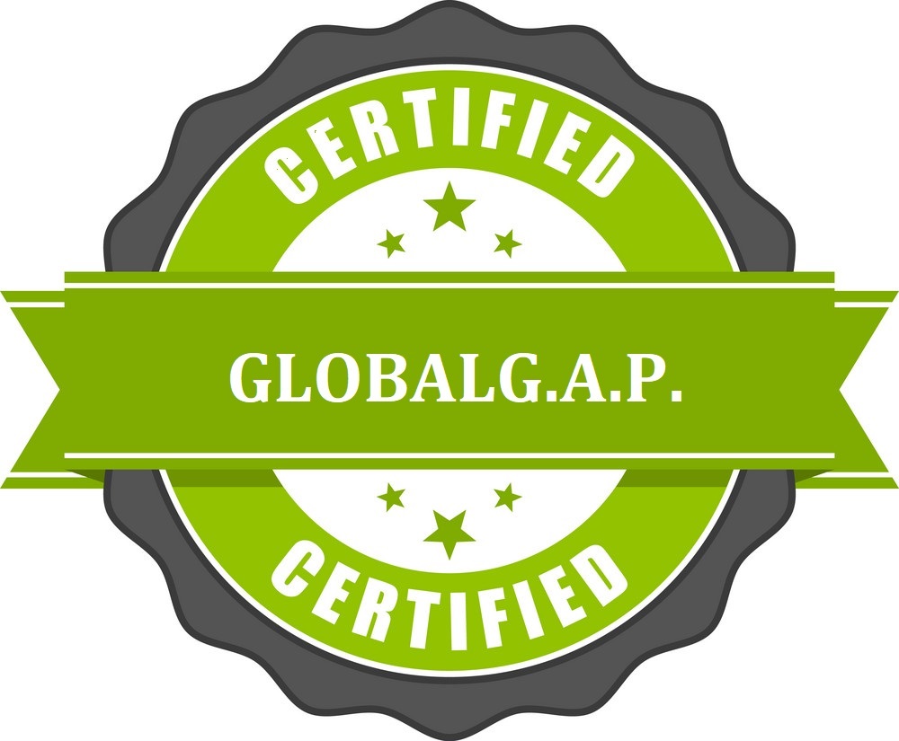 Certificat 2