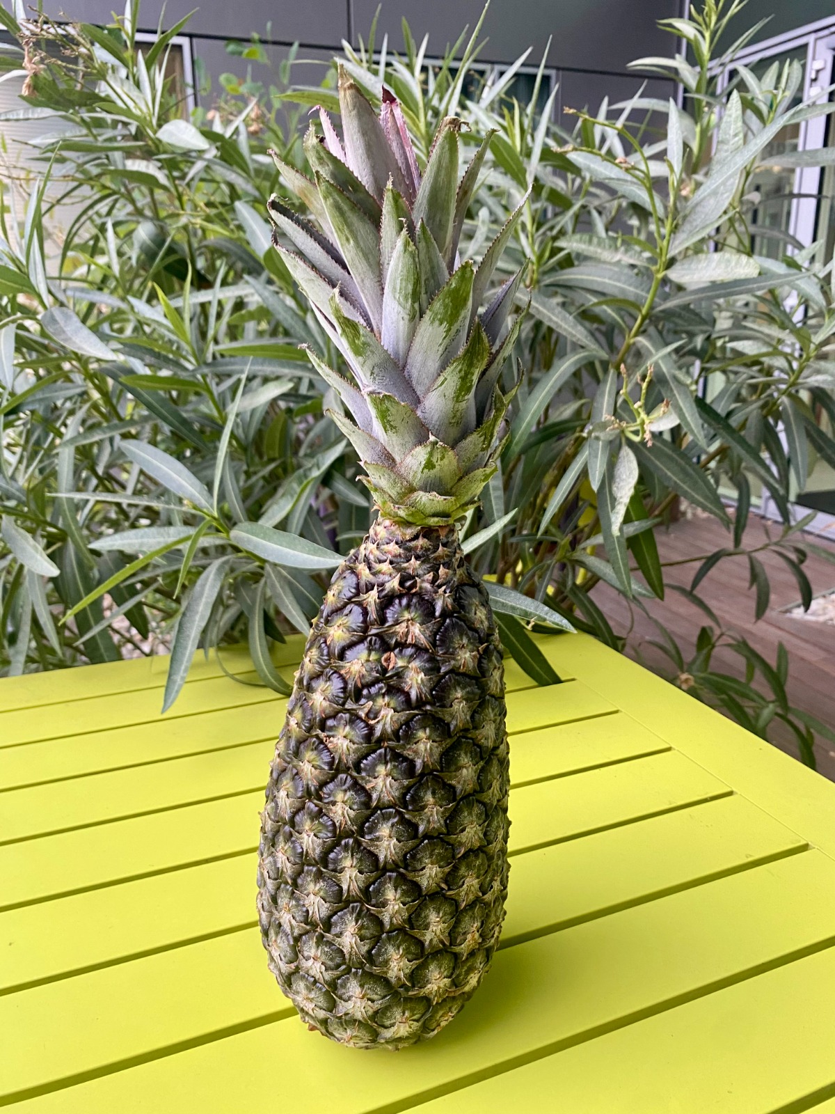 Ananas Ladylices — Pain de Sucre et Cayenne Lisse